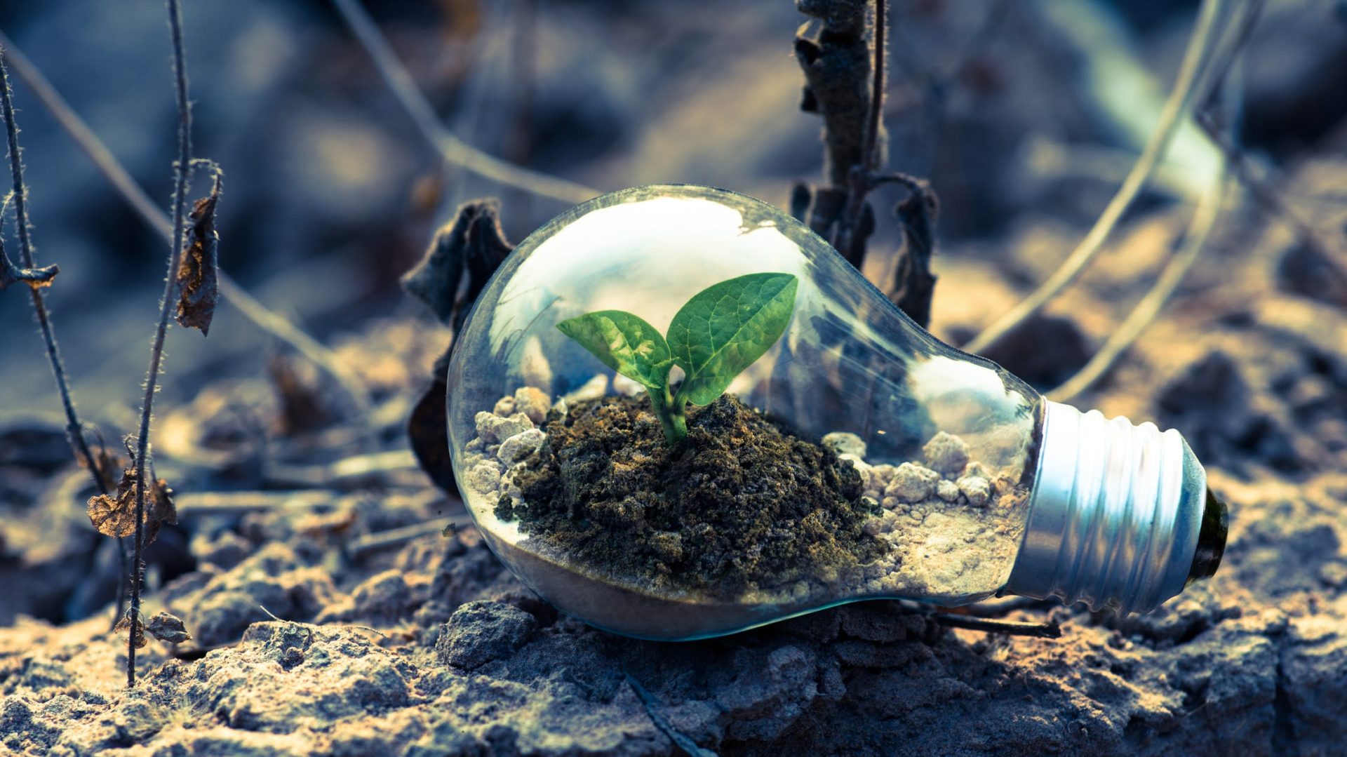 AI Renewable Fund